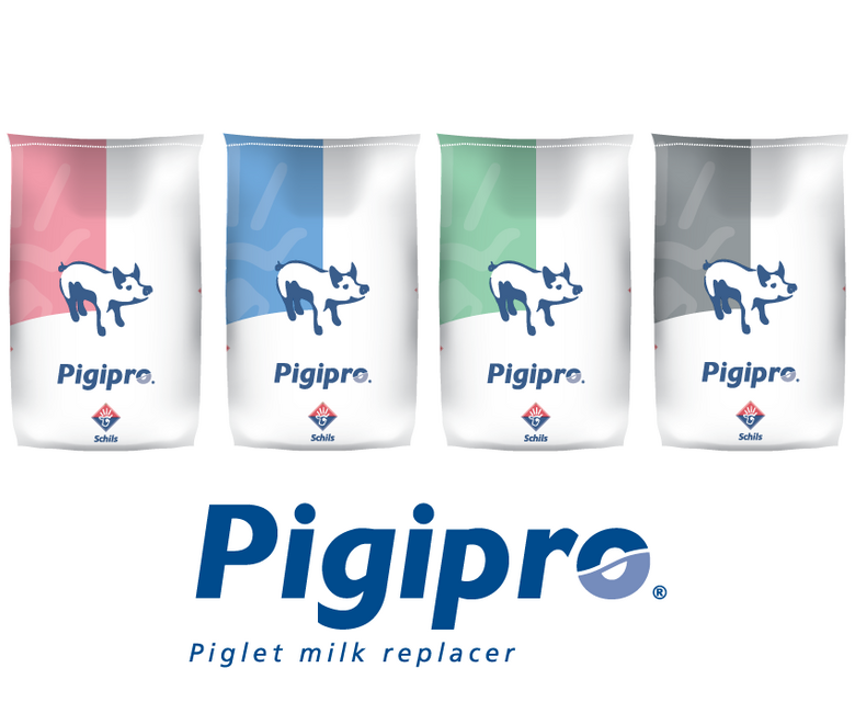 Piglet milk