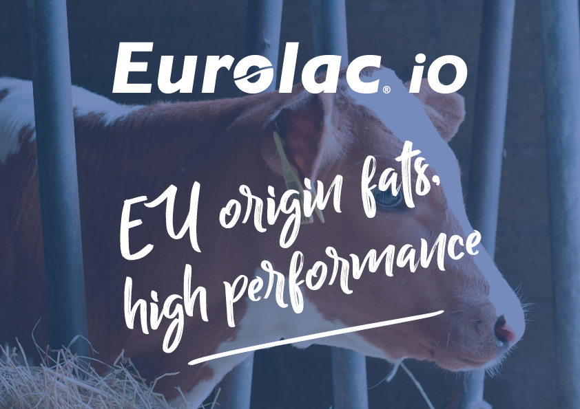 Protilac Schils at EuroTier: Launching the Eurolac iO range for sustainable calf ...